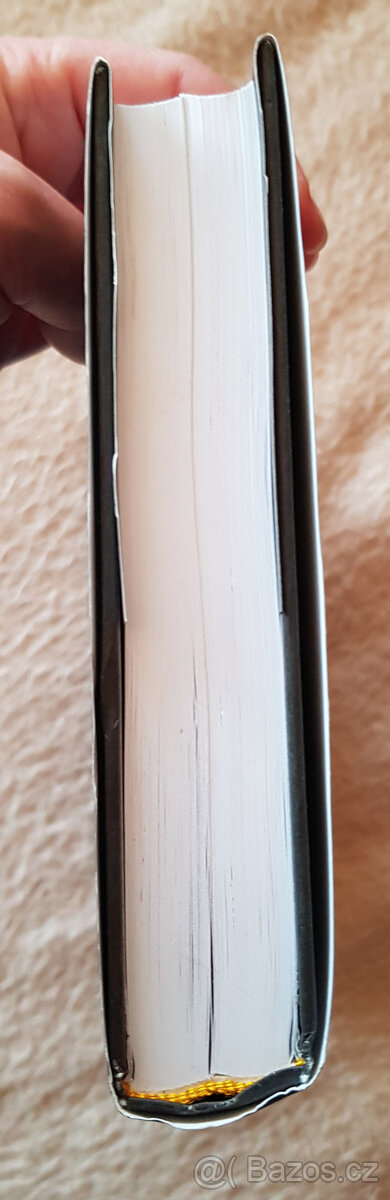 Číslo 20, Tajemství pomocnice, Skryté karty, Ukradené životy - 14