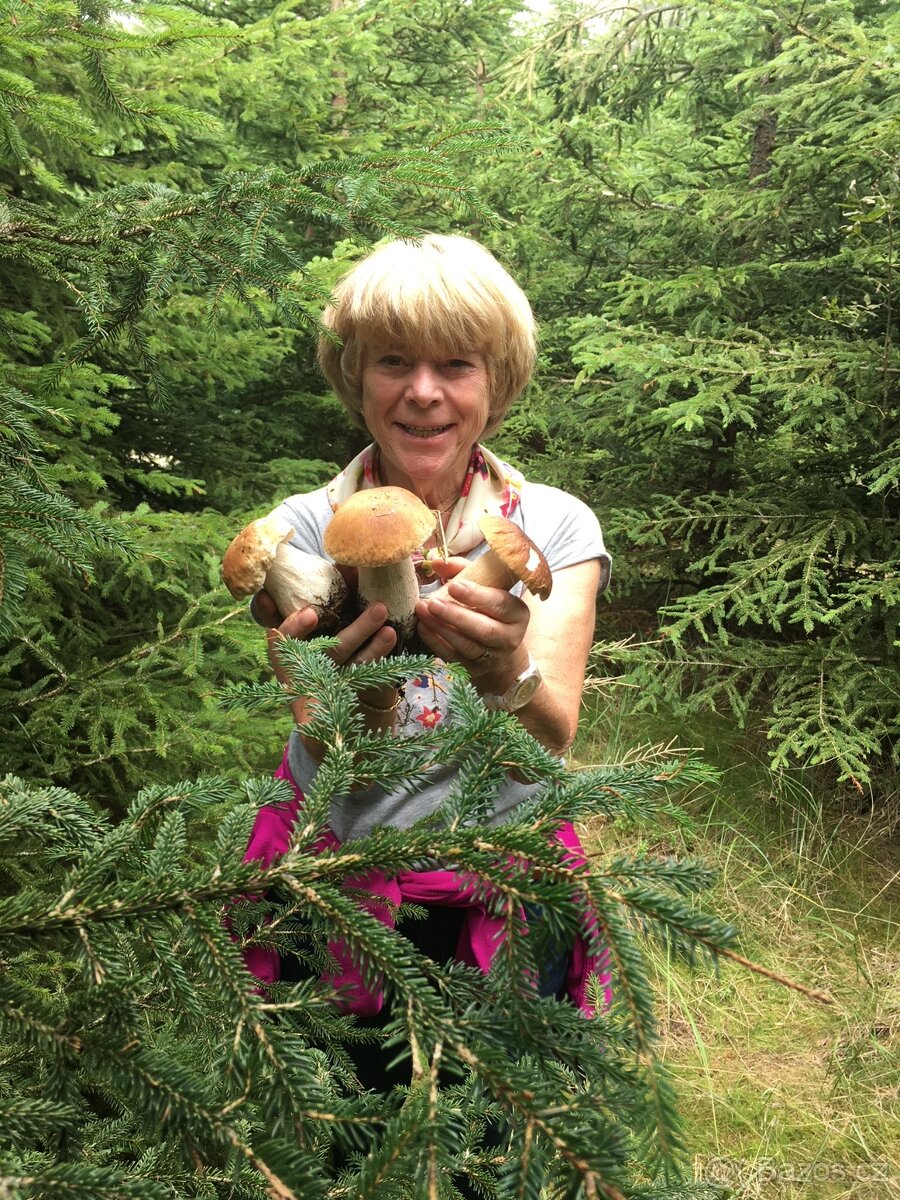 Nabídka ubytování - 14