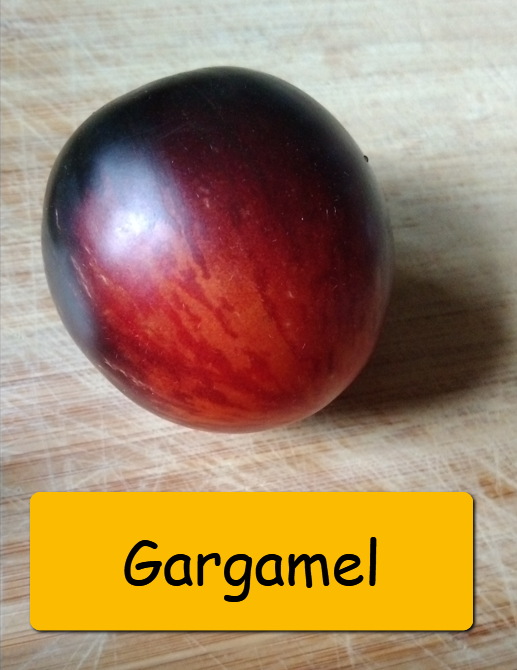 Semínka rajčata tyčkové - různé druhy - 14