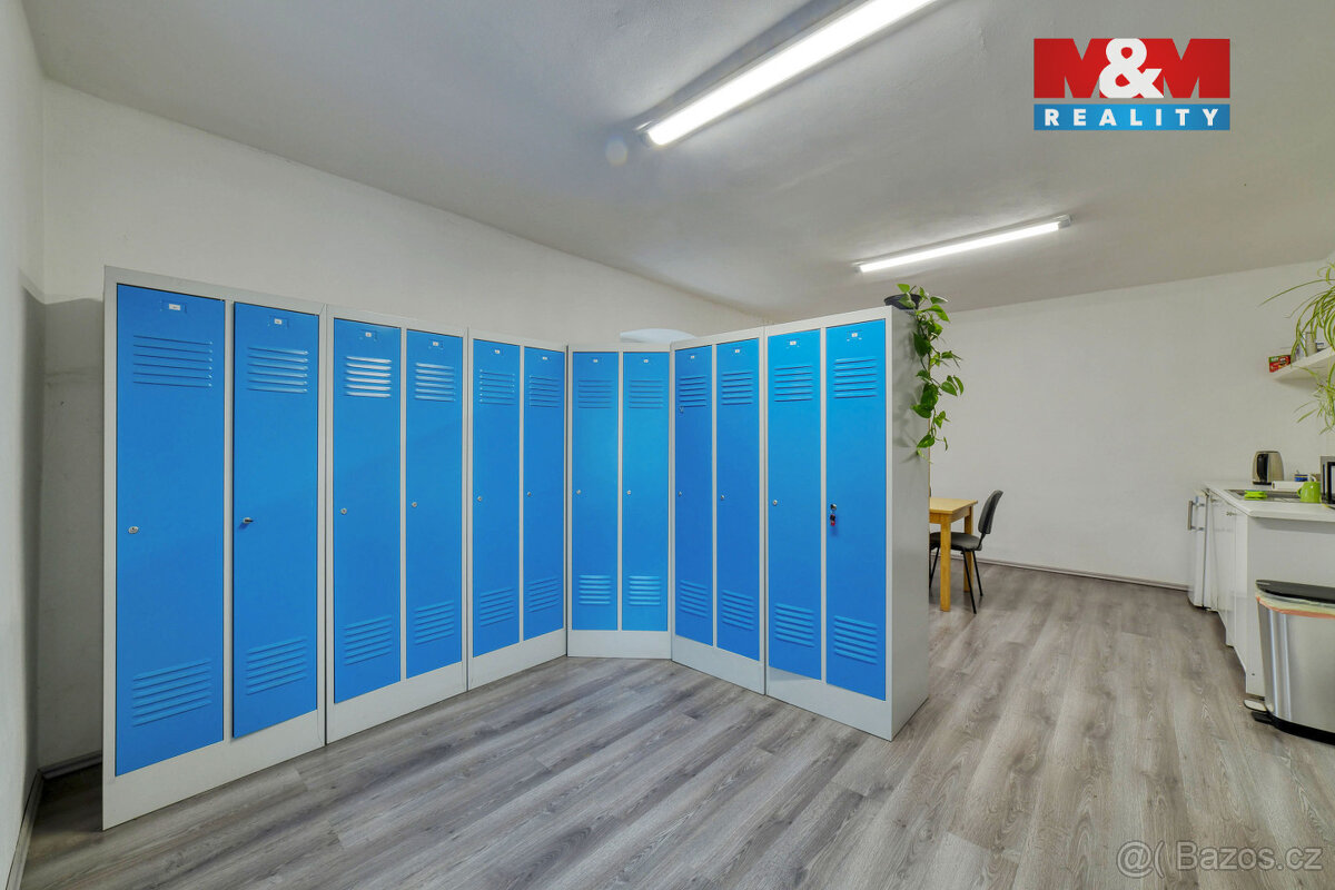 Prodej výrobního objektu, 745 m², Bernartice u Stráže - 14