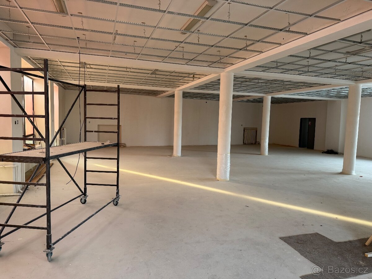 Pronájem nebytových prostor - 14