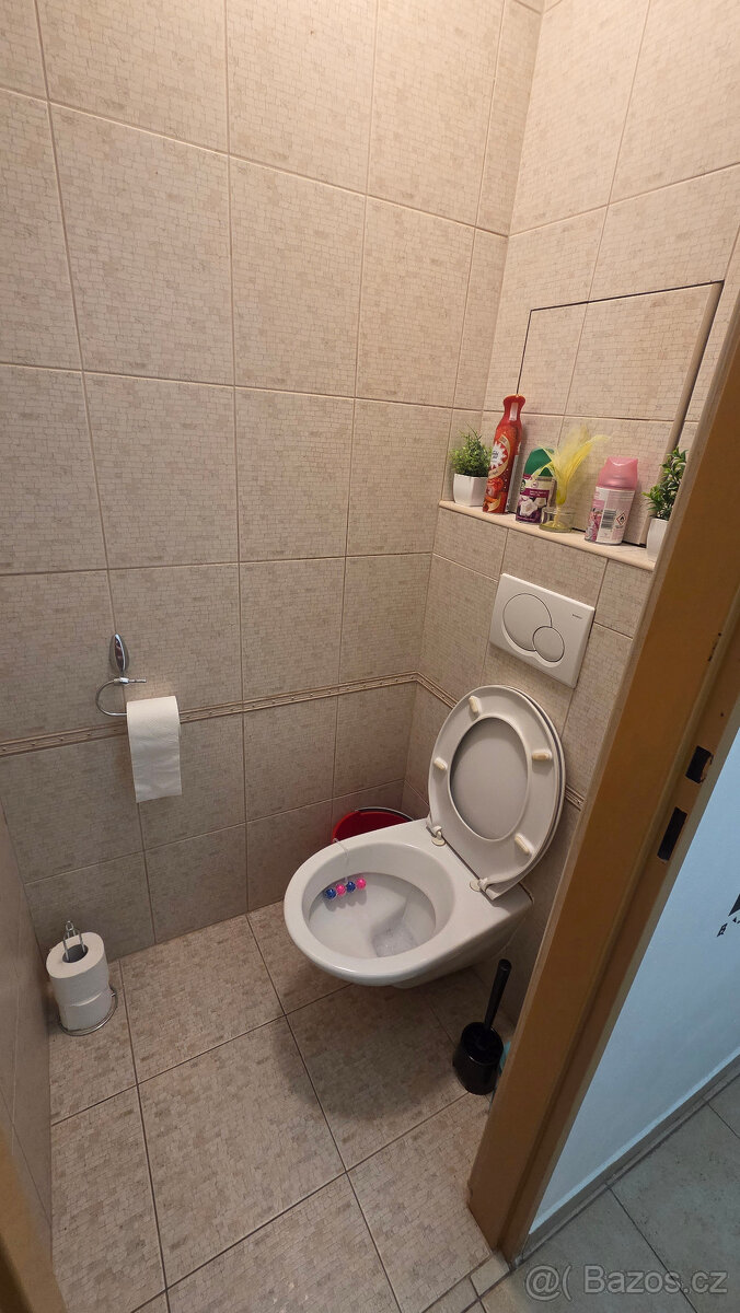 Prodej bytu 2+1 Třebíč - 14