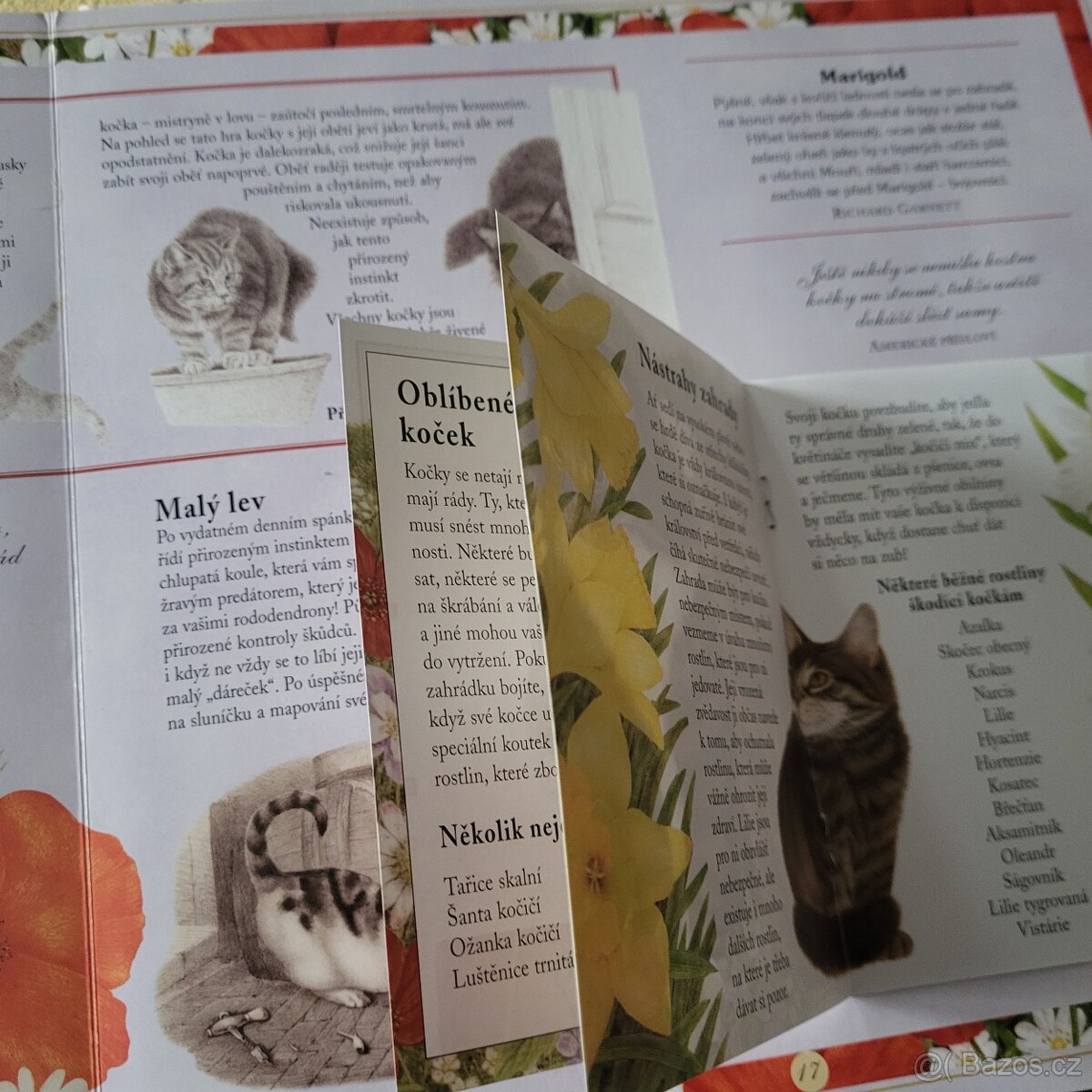 KOČKY pro děti - 14
