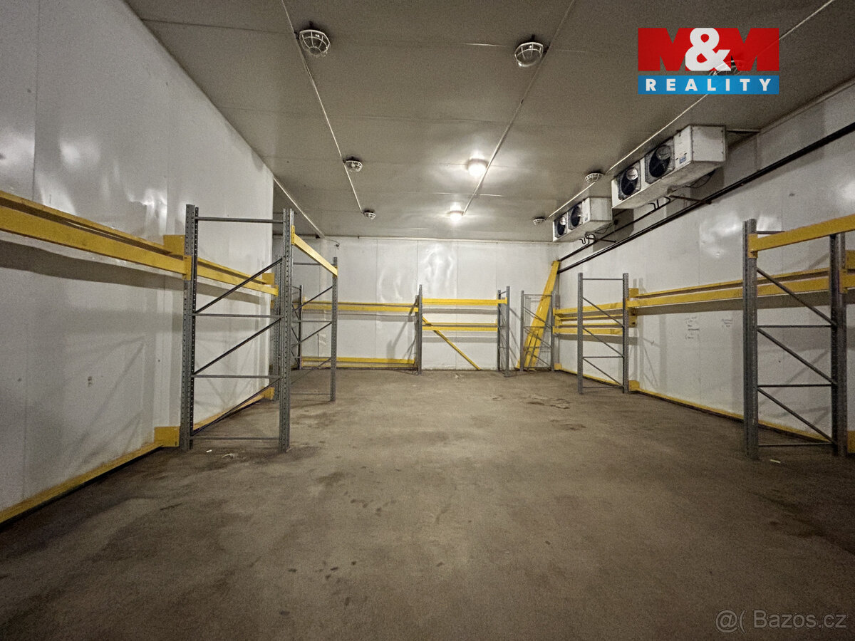 Pronájem výrobního objektu, 2400 m², Litenčice - 14