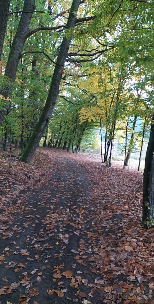 🏡 Chata u Fryštáku – klid, pĹ™Ăroda a HostĂ˝nskĂ© lesy 🌲 - 14