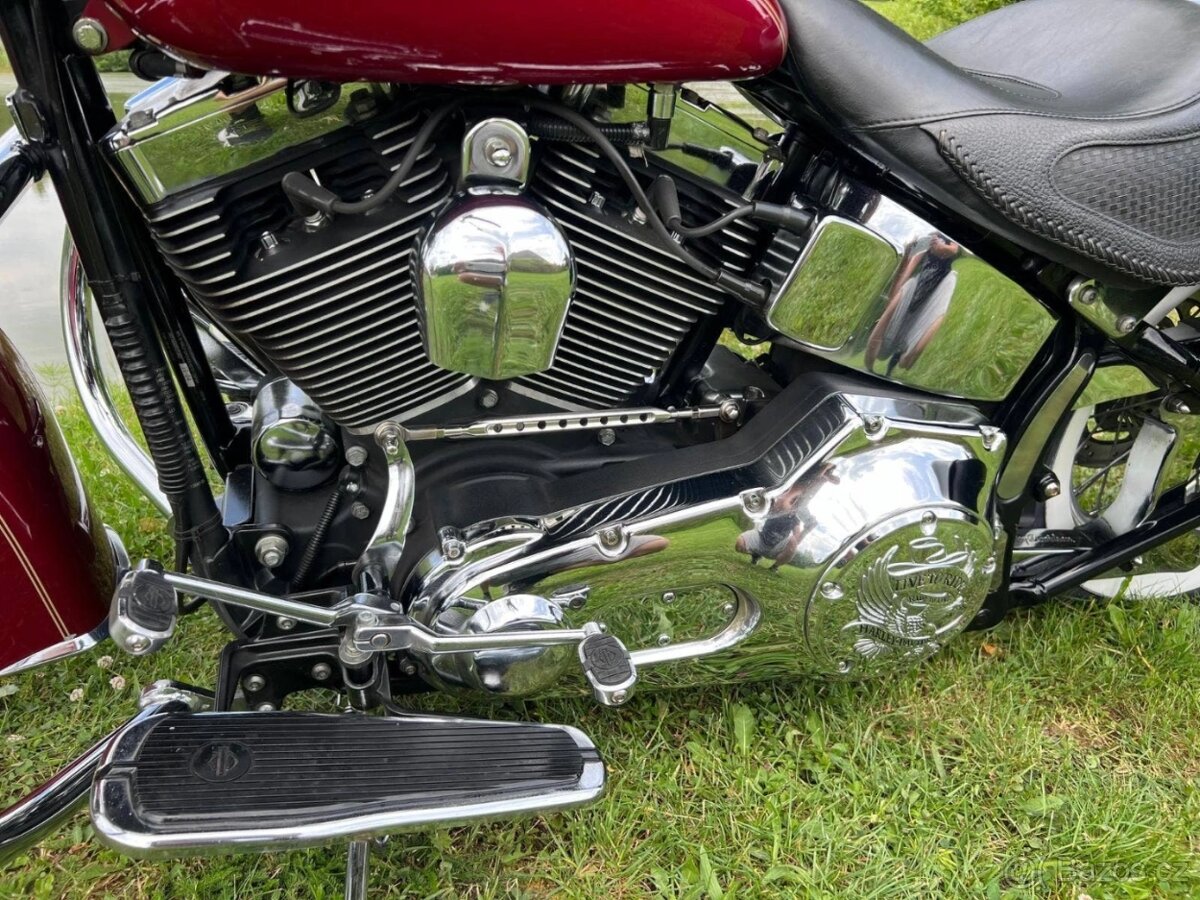 Harley-Davidson FLSTNI Softail Deluxe - 14