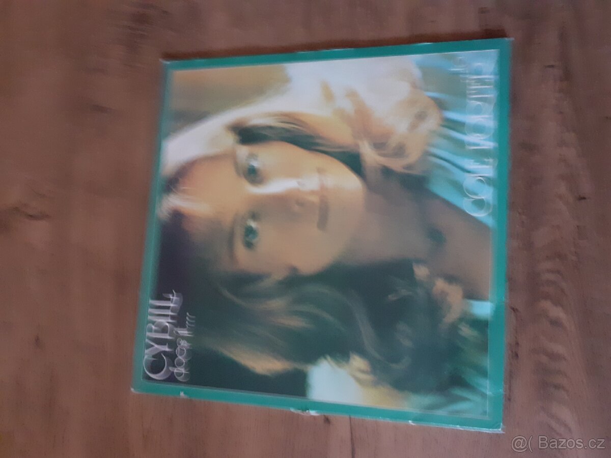 Lp desky - 14