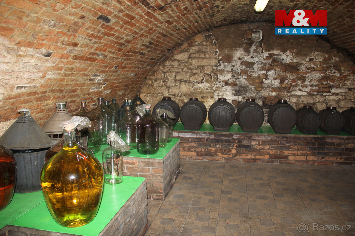 Prodej RD o dvou bytových jednotkách v Březí u Mikulova - 14