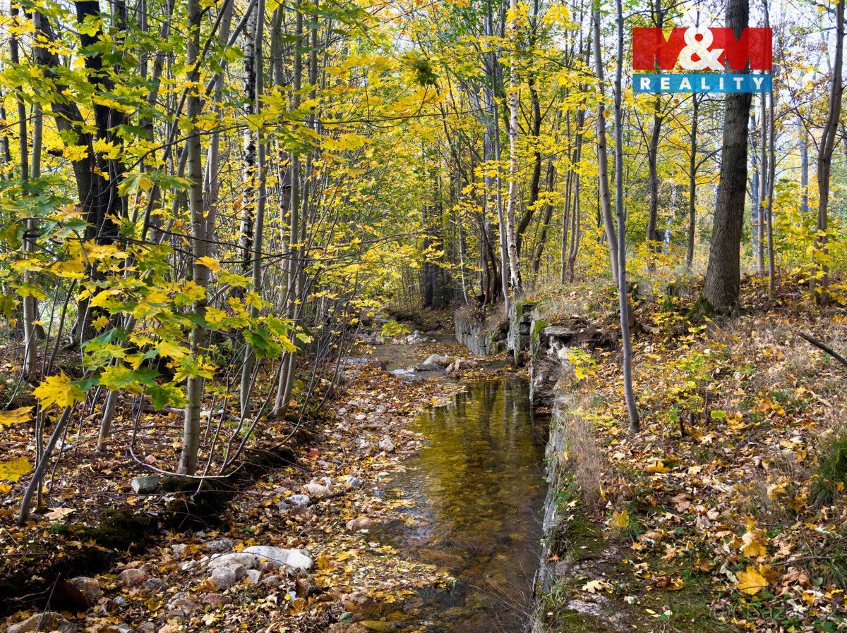 Prodej vodní plochy v Novém Městě pod Smrkem - 14