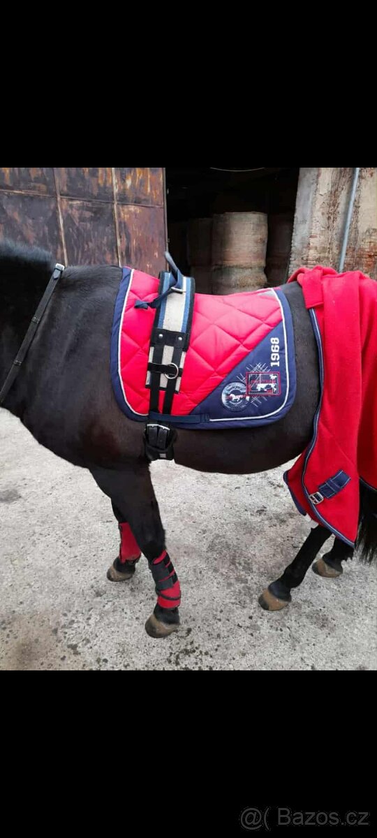 Prodám více věcí - 14