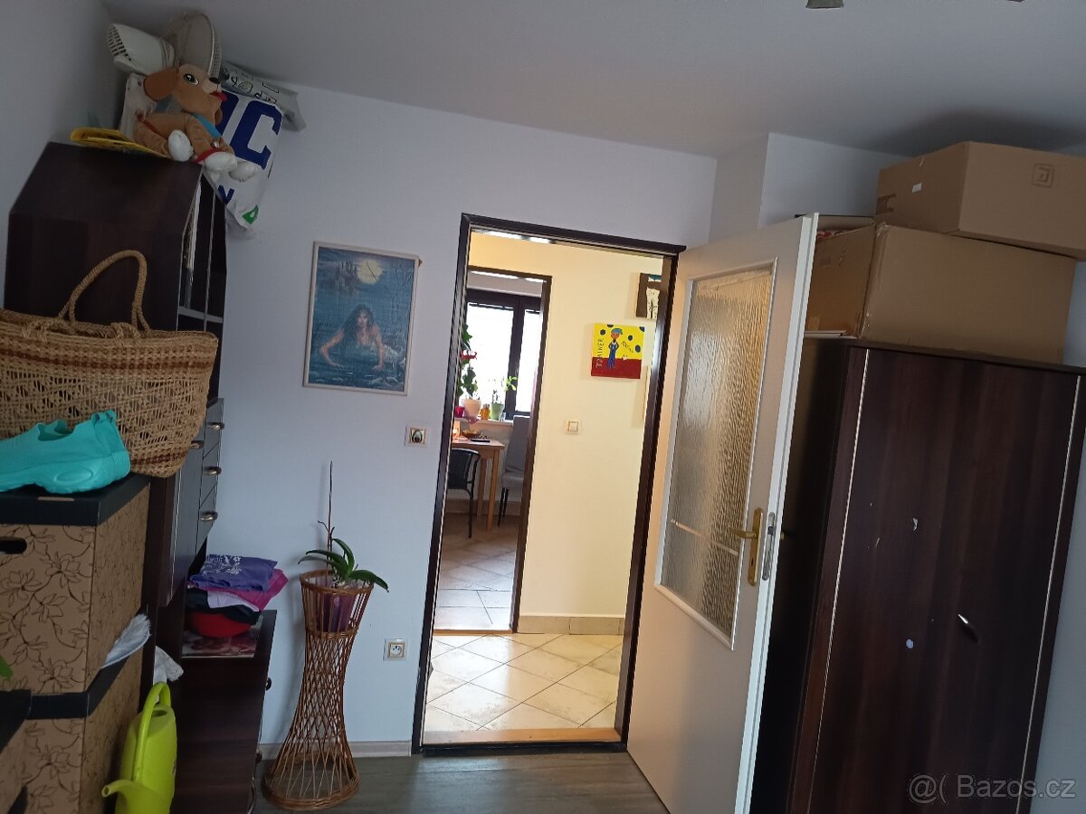 Pronájem bytu 3+kk - 14