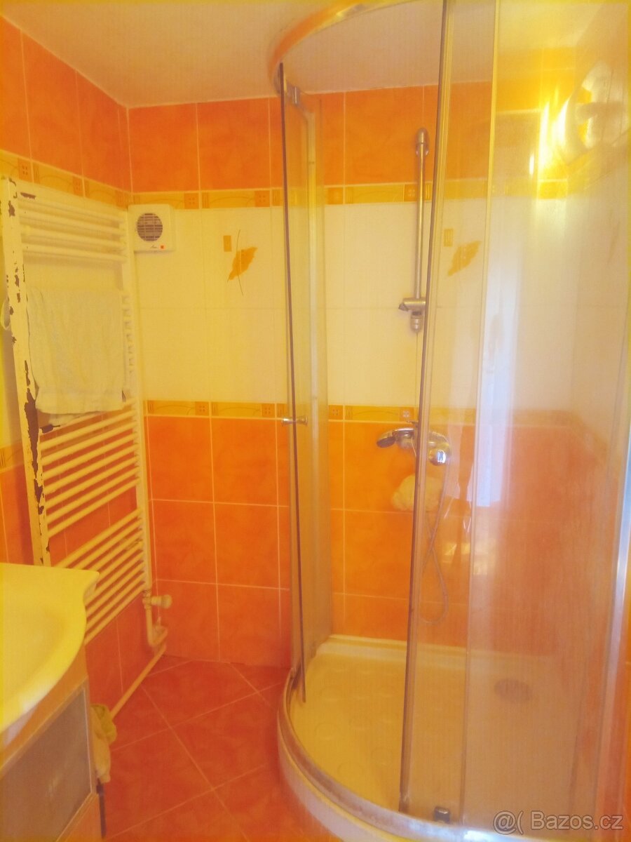 Prodej rodinného domu ve Střílkách - 14