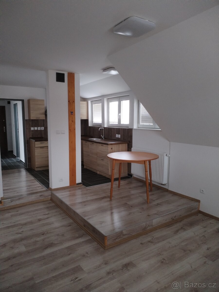 Pronájem bytu - 14