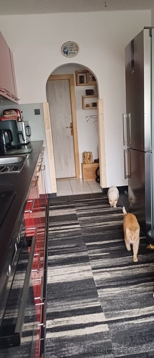 RD dům 2 bytové jednotky + velká půda Rovensko pod Troskami - 14