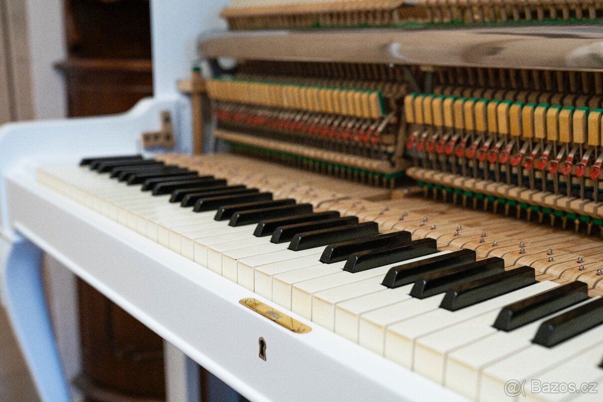 Petrof 117 Chippendale - 14