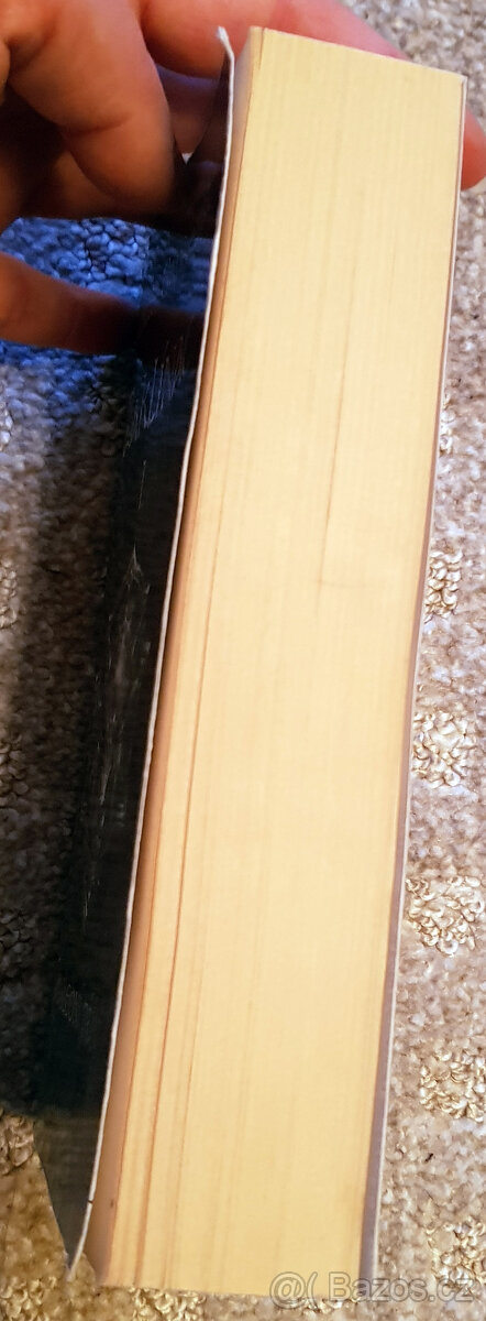 Zaklínač I (Sapkowski), Underground, Vlci (Kotleta) - 14