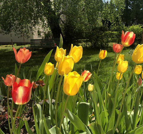 Pronájem slunného bytu 3+1 66m², předzahrádka, Úvaly u Prahy - 14