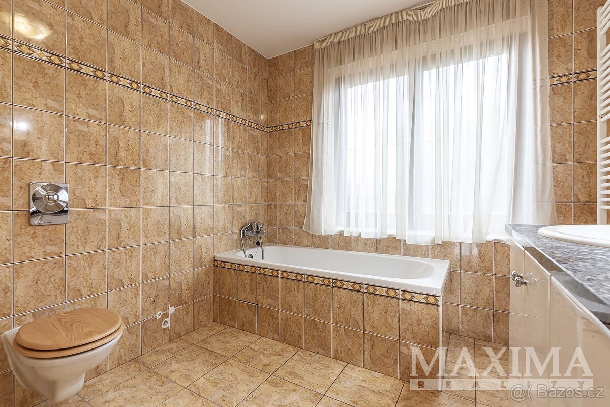 Dům 6 a více o ploše 565 m2 - Zruč-Senec, Zruč - 14