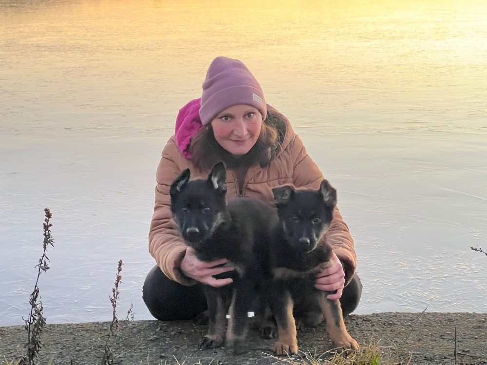 Německý ovčák-štěňata - 14