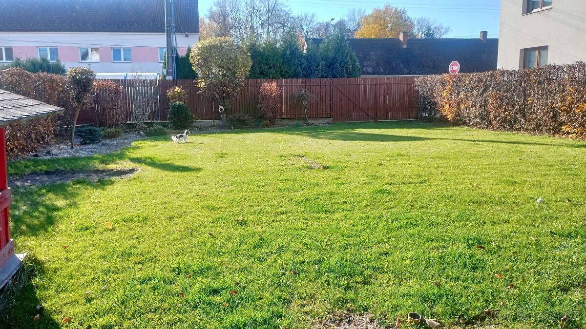 Pronajmu přízemí RD, být 3kk se zahradou a terasou - 14