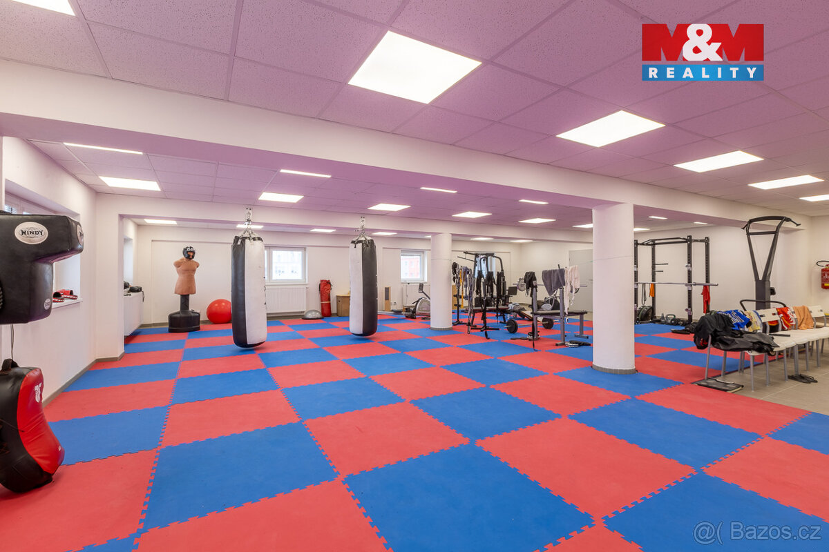 Pronájem kancelářského prostoru, 166 m², Louny, ul. Březinov - 14