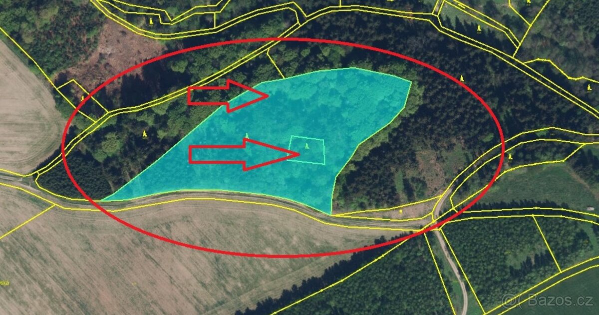Prodej lesního pozemku v k.ú. Liberk - 14