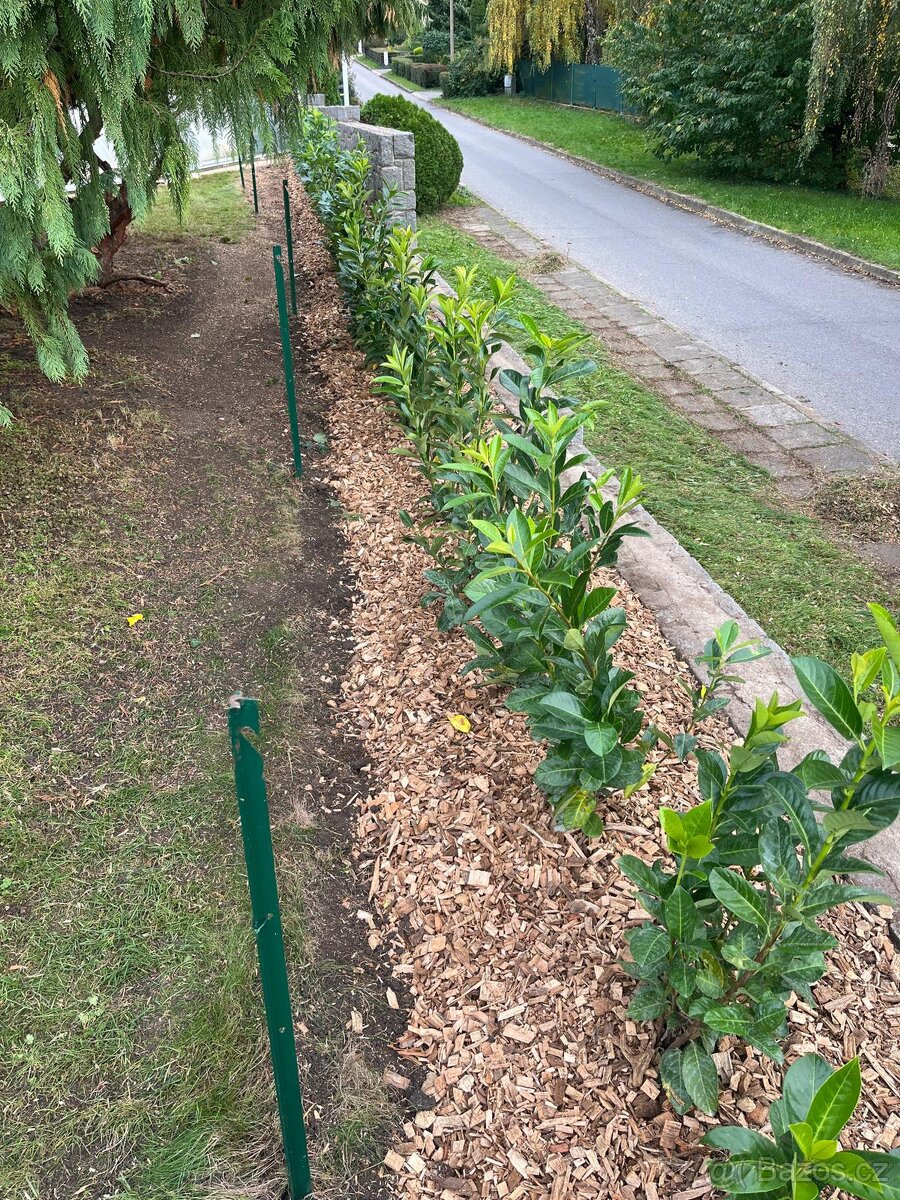 Údržba zahrad - 14