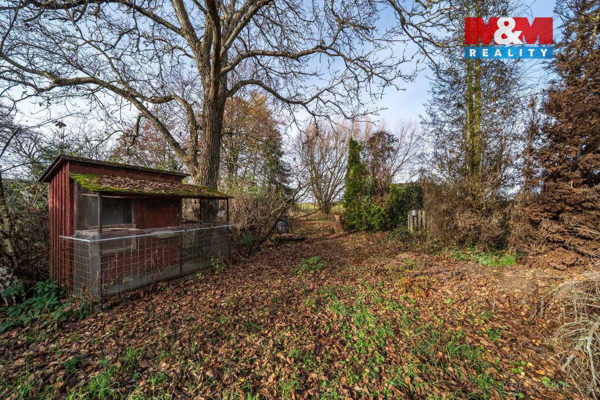 Prodej rodinného domu 1729 m2, v obci Svárkov - Letiny - 14