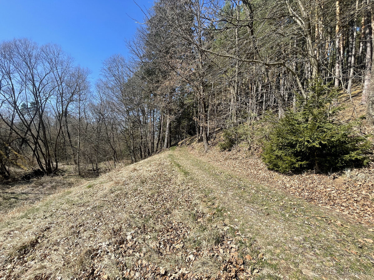 Prodej zahrady v Janovicích u Sušice 782 m2 - 14