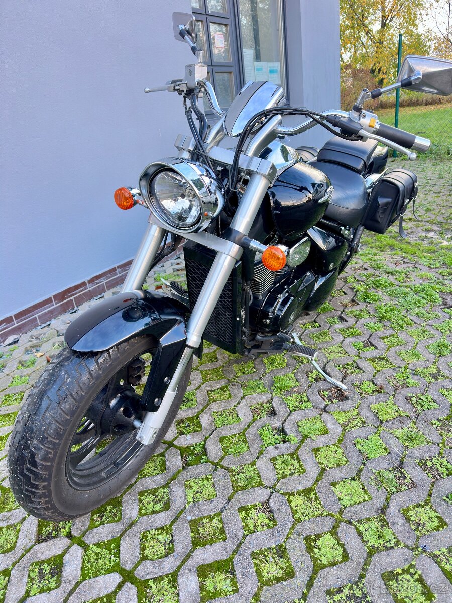 Suzuki c 800 Intruder - 14