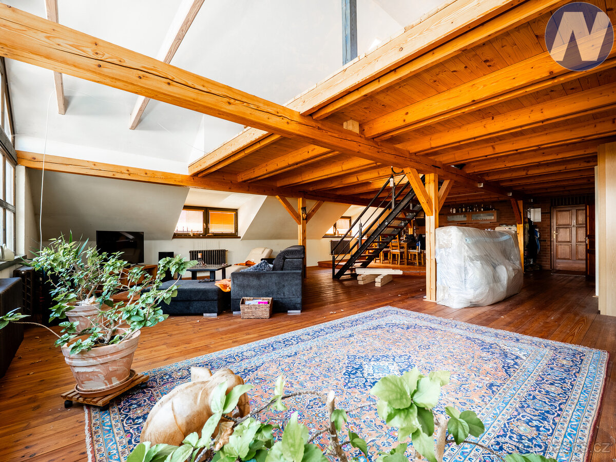 Prodej komerčního objektu, Komenského, Husinec - 14