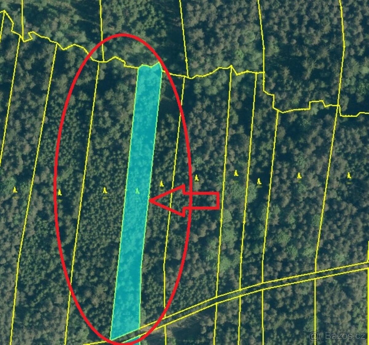 Prodám lesní pozemky v k.ú. Nesměň u Ločenic - 14