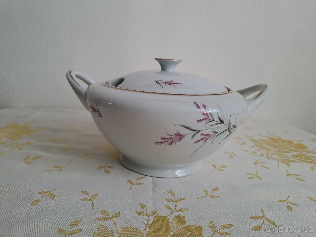 velká stará jídelní porcelánová souprava neúplná - 14