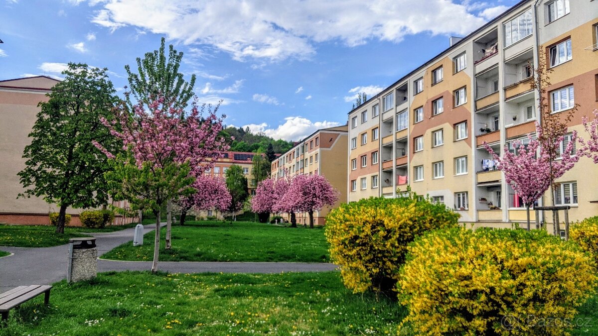 Kadaň, byt 2+1 pronájem - 14