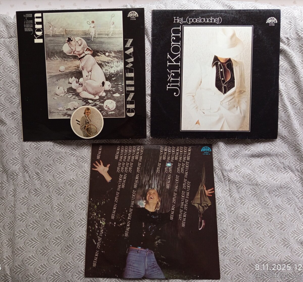 Gramofonové desky - 14