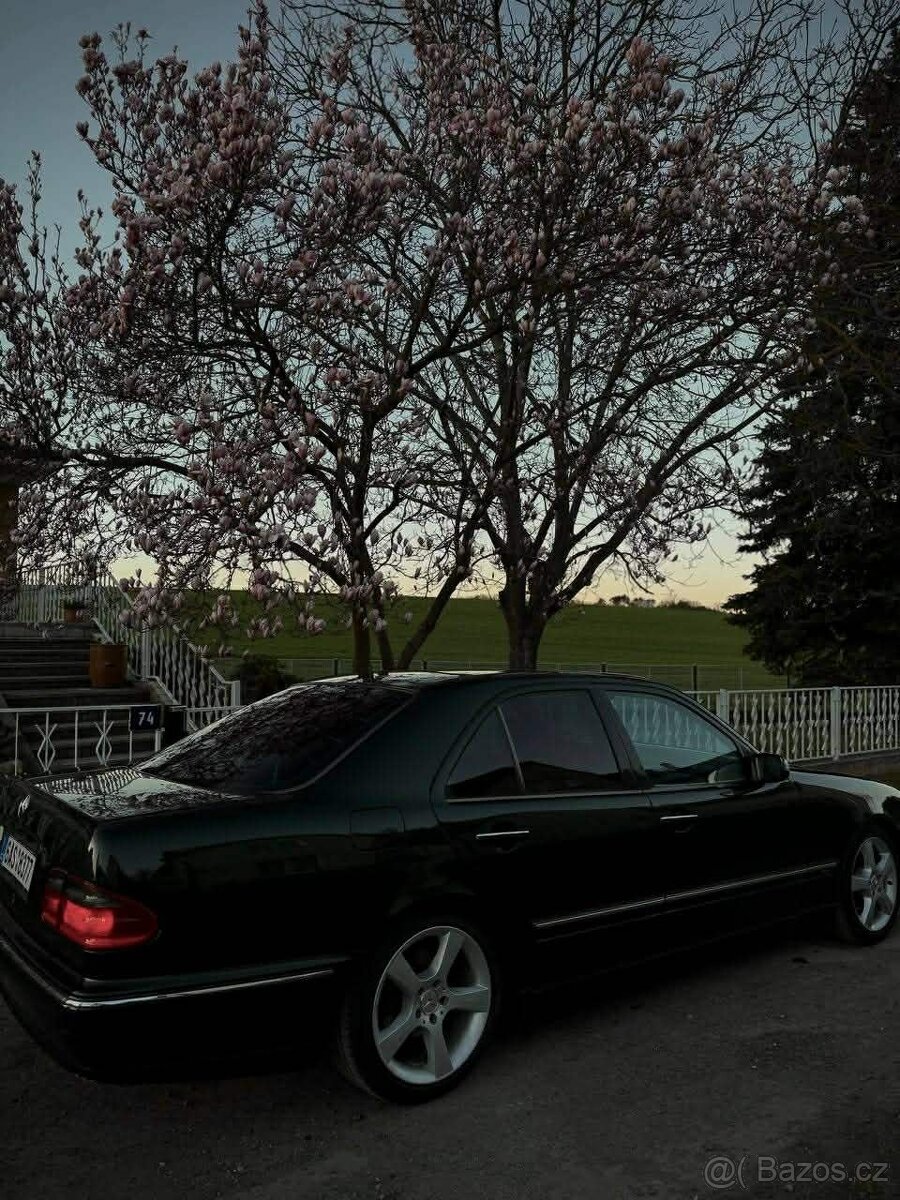 Mercedes-Benz w210 E320 - 14