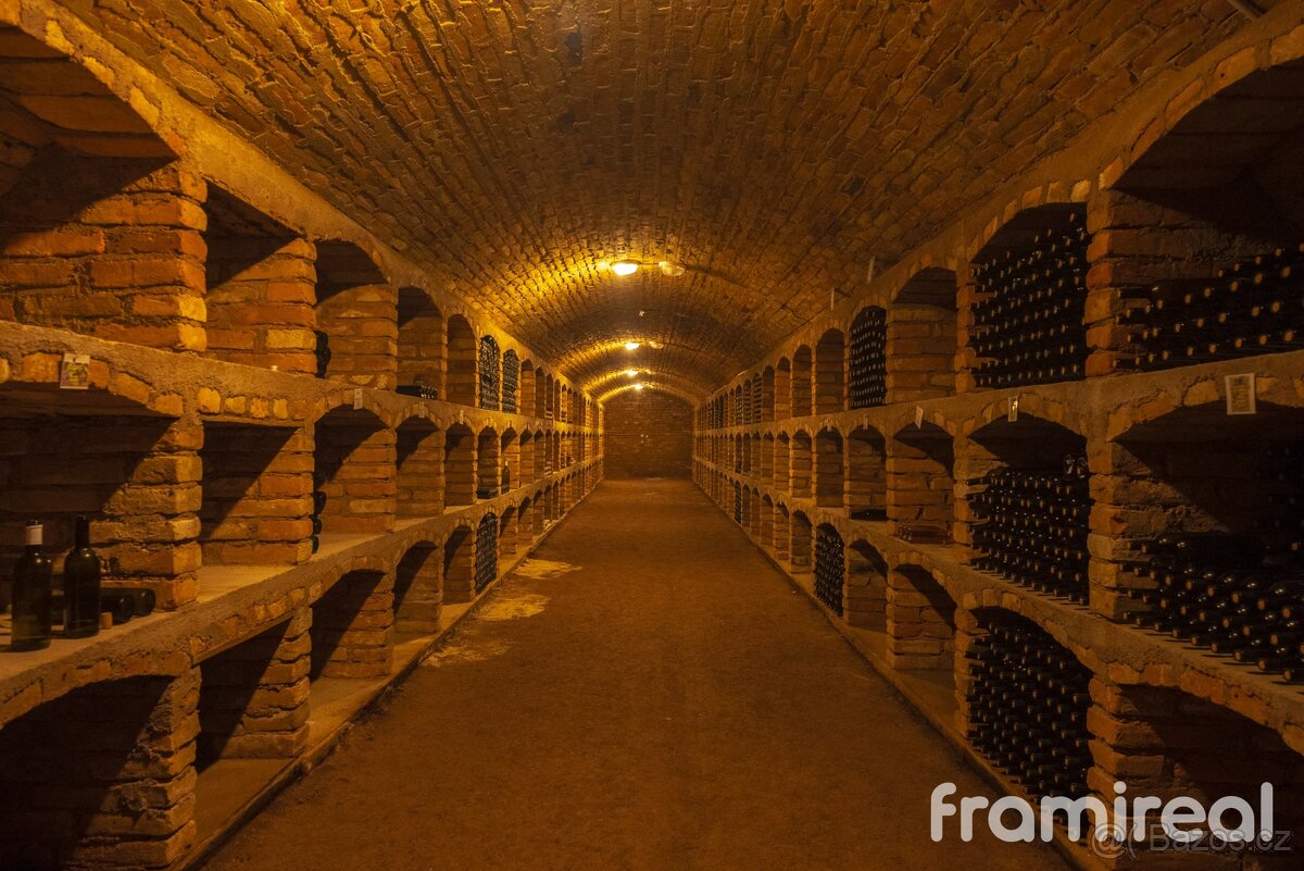 Prodej, Restaurace, 1593 m² - Šatov, ev.č. 00652 - 14