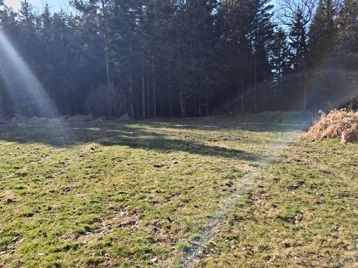4233 m2 Udržovaný les a louka u JÍLOVIC - 14