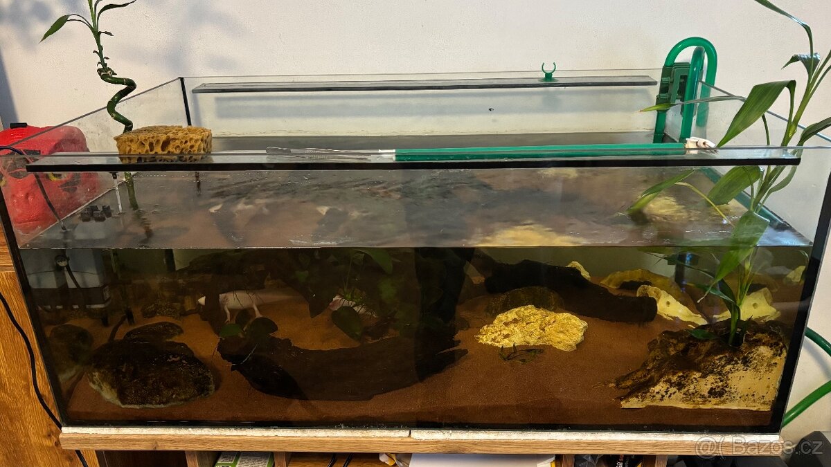 Axolotl +komplet vybavení - 14