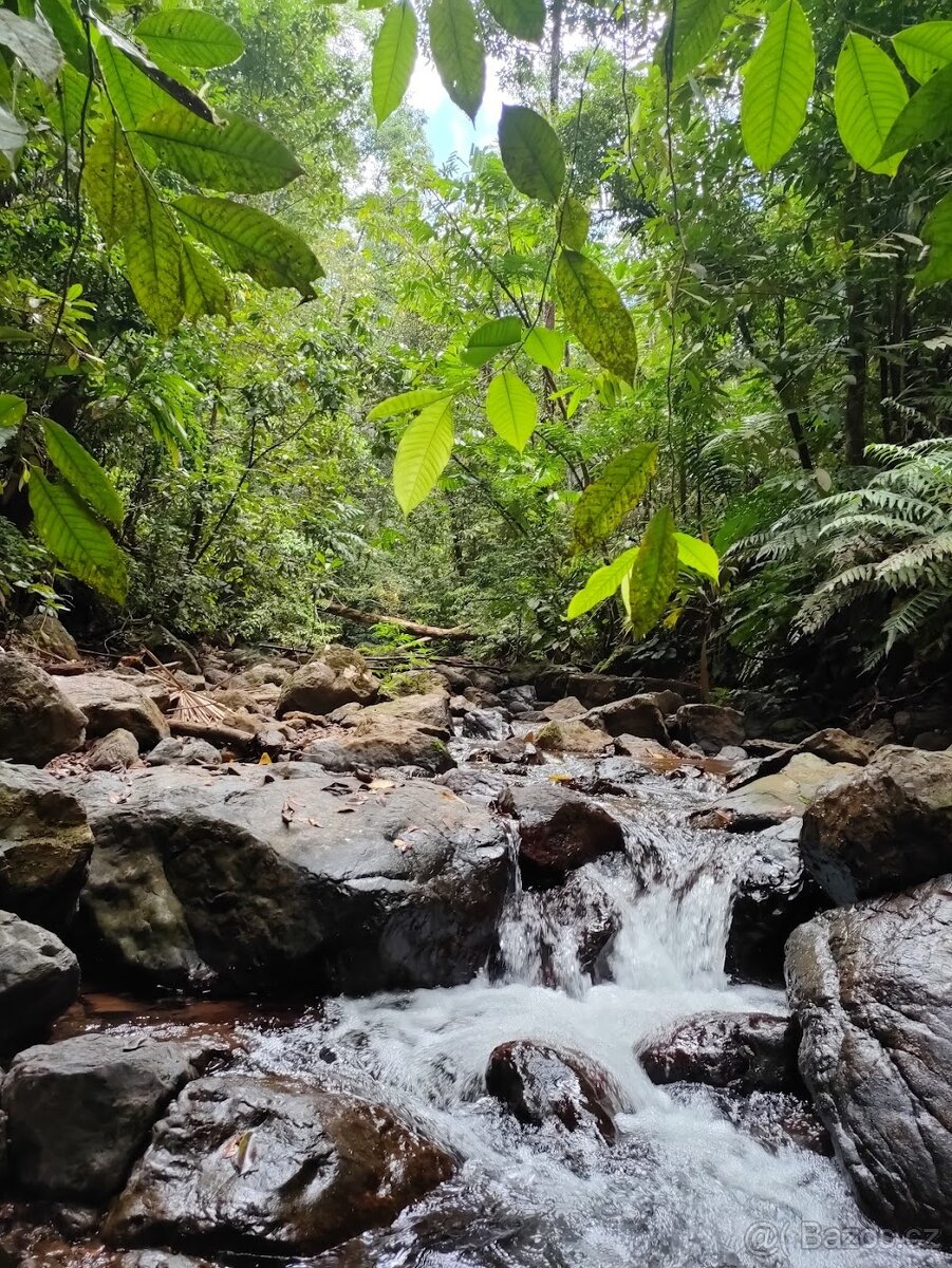 Pozemky a domy Kostarika - 14