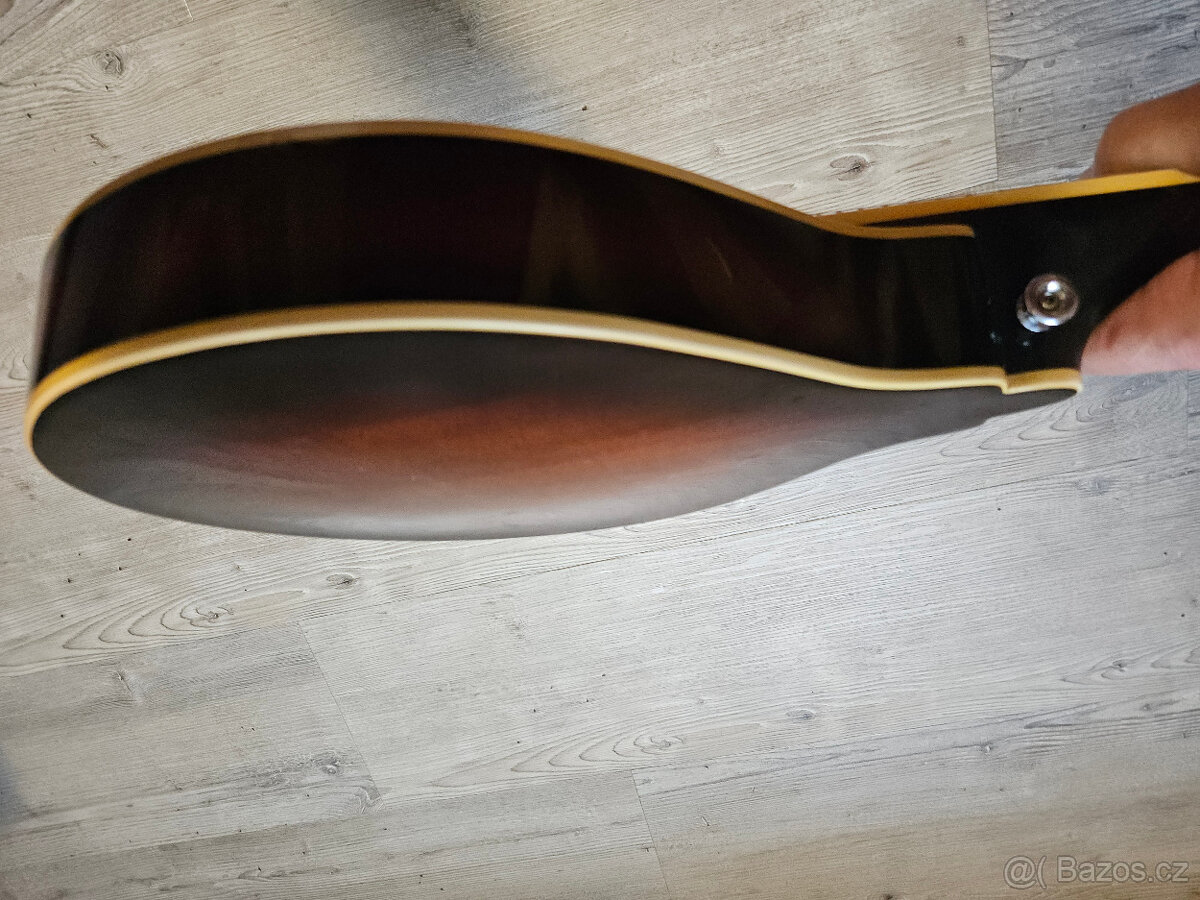 Celomasivní mandolína FURCH Ma 2 A - 14