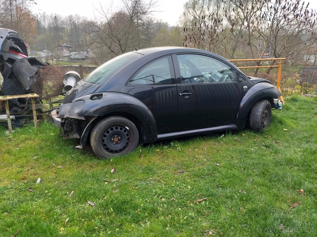 new beetle ND 98-2005 - 14