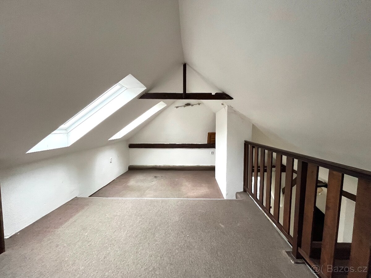 Pronájem bytu Pellicova s terasou pro rodinu i pro studenty - 14