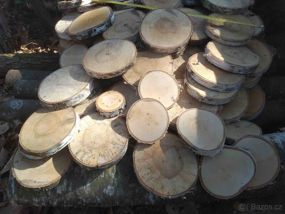 Placky bříza,kolečka a šikmé placky z břízy i jiného dřeva - 14