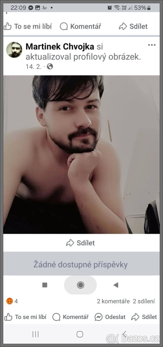 kočka Pardubice - 14