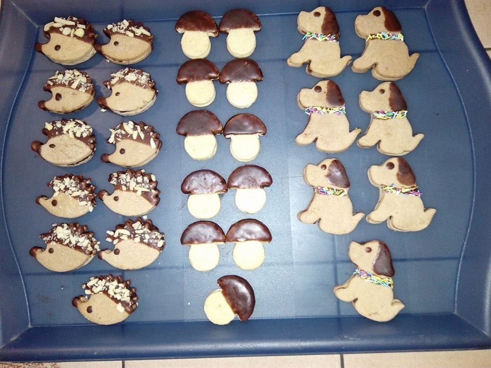 VÁNOČNÍ CUKROVÍ - STÁLE ZDARMA ROZVOZ, NIC PŘEDEM NEPLATÍTE - 14