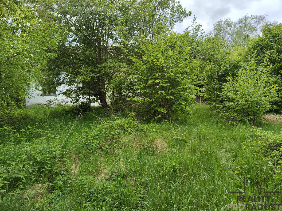 Prodej rodinného domu se stodolou u rybníka ve Vlkanově u Do - 14