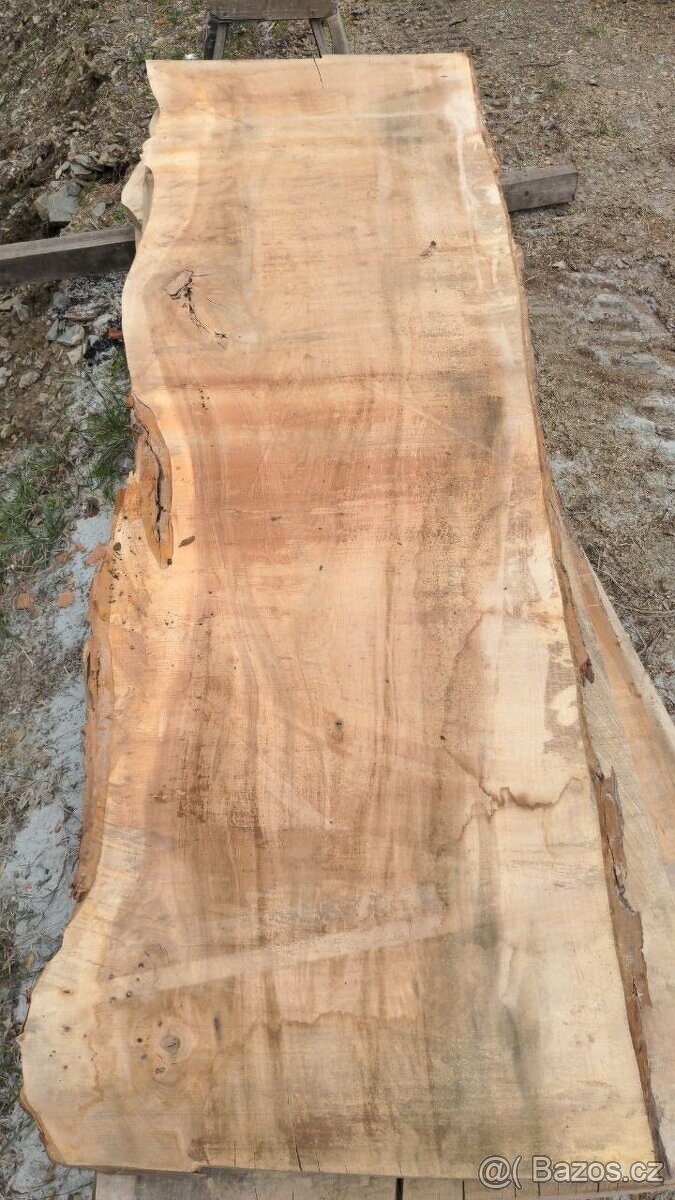 Suché jilmové fošny - 14