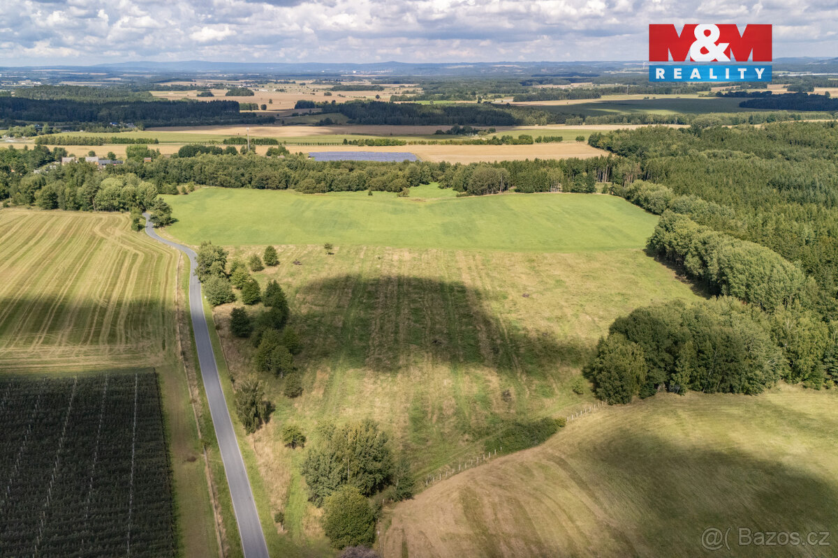 Prodej pole, 238031 m², Přimda - 14