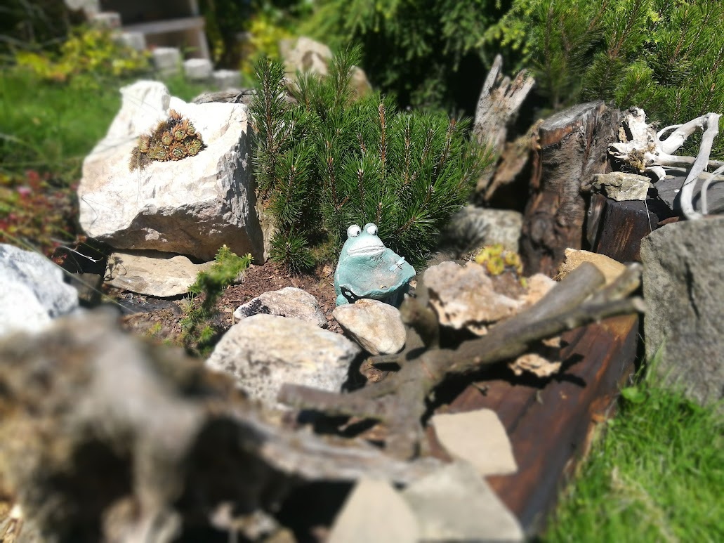 Zahradní chata Skalice - 14